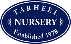 Tarheel Nursery Logo